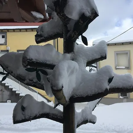 Guest house As Miguinas Do Cebreiro