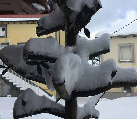 Gæstehus As Miguinas Do Cebreiro